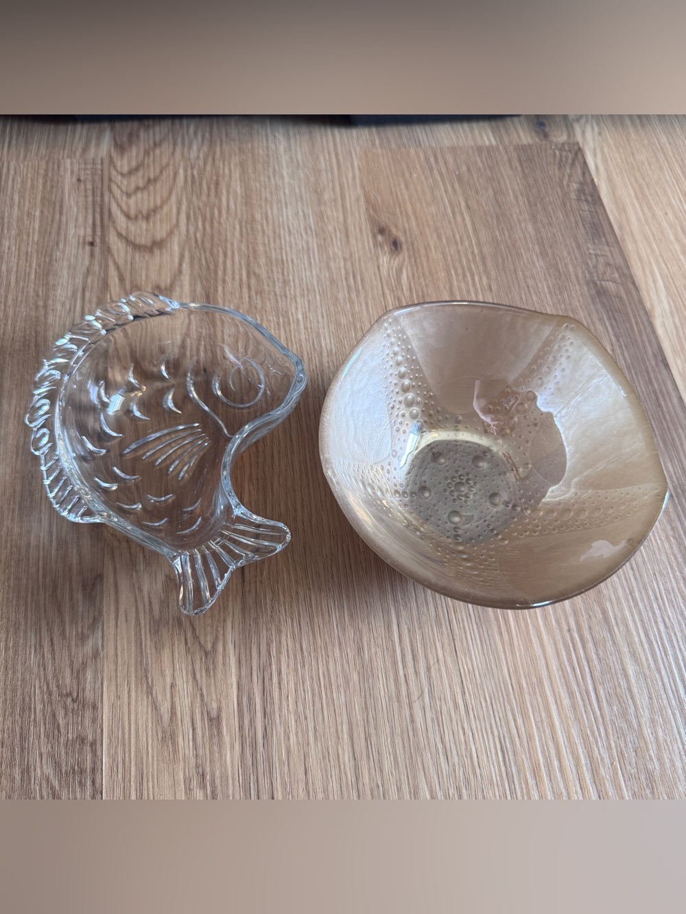 Coastal Glass Fish Dish & Starfish Bubble Glass Bowl - Set